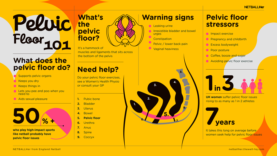Pelvic-floor-101