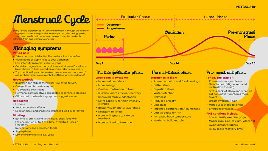 menstrual-cycle