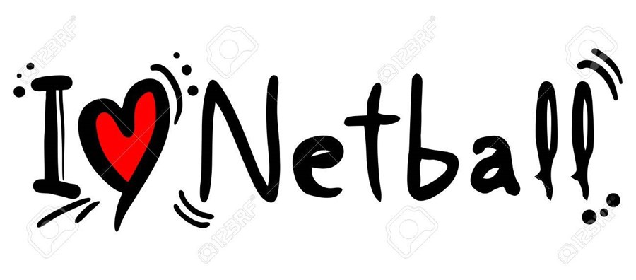 31396980-netball-love